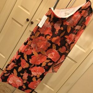 Brand New Eva Mendes dress